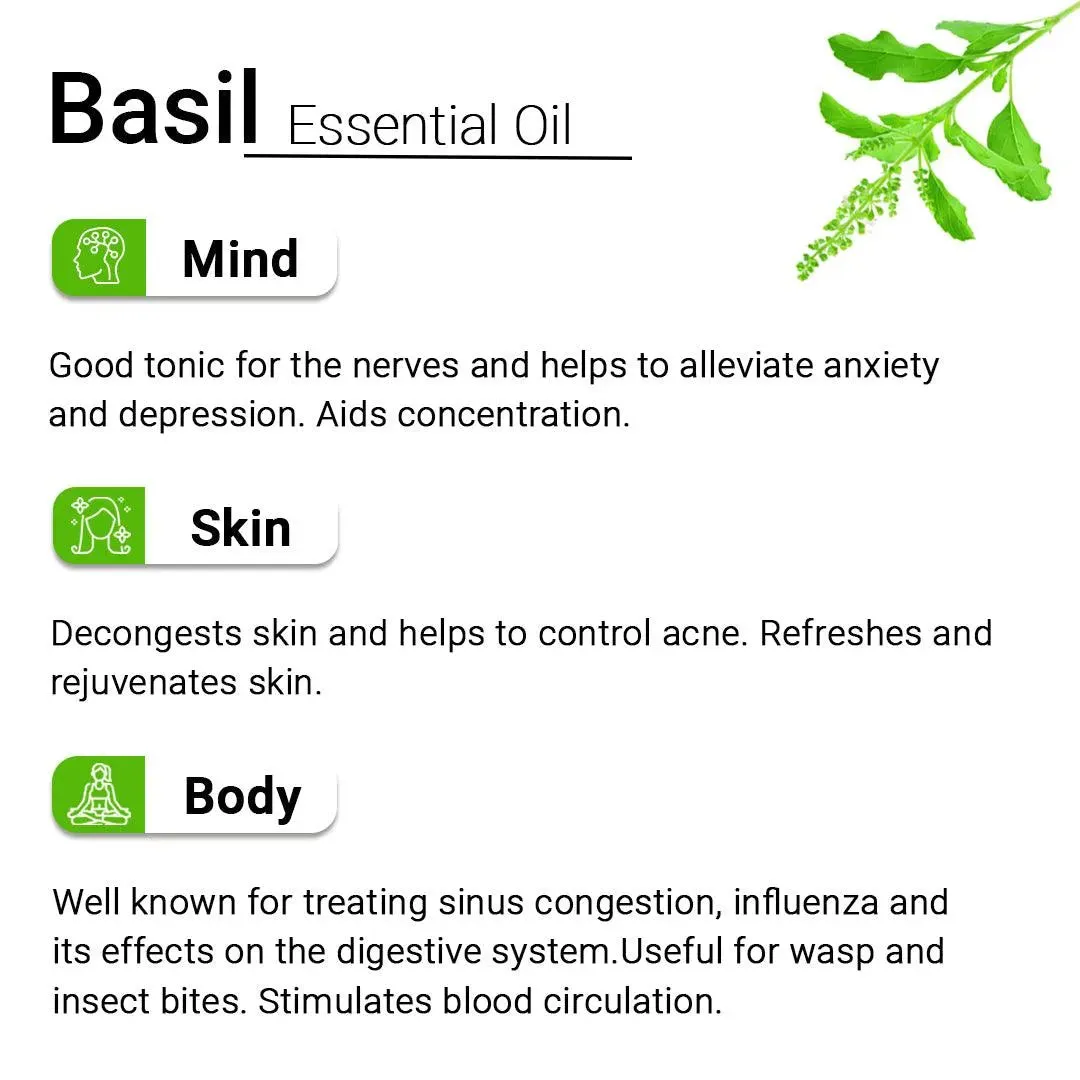 Basil Essential Oil, Therapeutic, Pure & Natural, Holy Basil (Tulsi) Spiritual Concentration, Headache, Digestive & Antiseptic 10ml