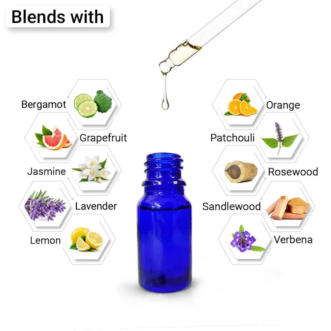Basil Essential Oil, Therapeutic, Pure & Natural, Holy Basil (Tulsi) Spiritual Concentration, Headache, Digestive & Antiseptic 10ml