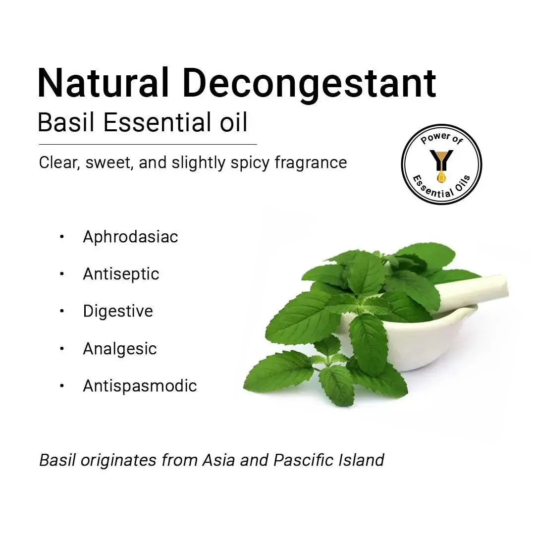 Basil Essential Oil, Therapeutic, Pure & Natural, Holy Basil (Tulsi) Spiritual Concentration, Headache, Digestive & Antiseptic 10ml