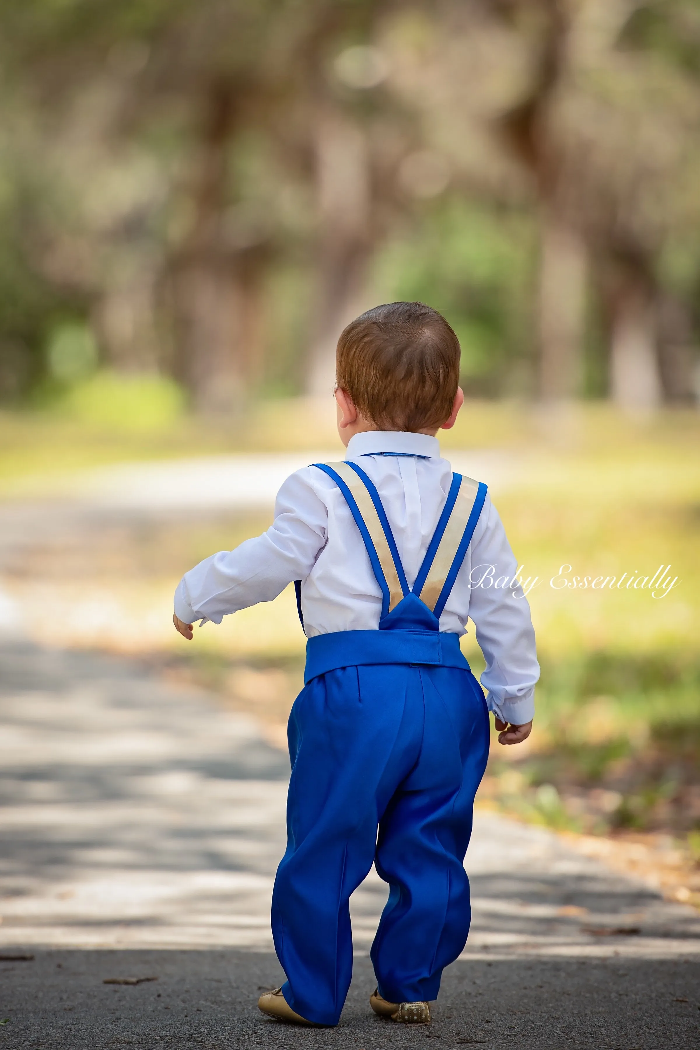 Prince William Tux Royal Blue & Gold
